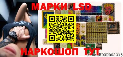 ПСИЛОЦИБИНОВЫЕ ГРИБЫ Заволжье