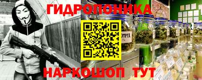ПСИЛОЦИБИНОВЫЕ ГРИБЫ Заволжье