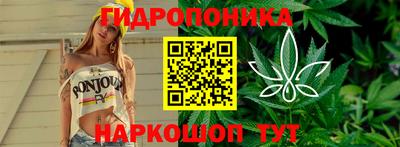 ПСИЛОЦИБИНОВЫЕ ГРИБЫ Заволжье