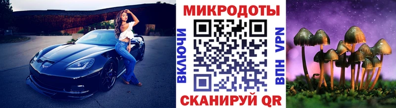 Галлюциногенные грибы GOLDEN TEACHER  мега маркетплейс  Владимир 