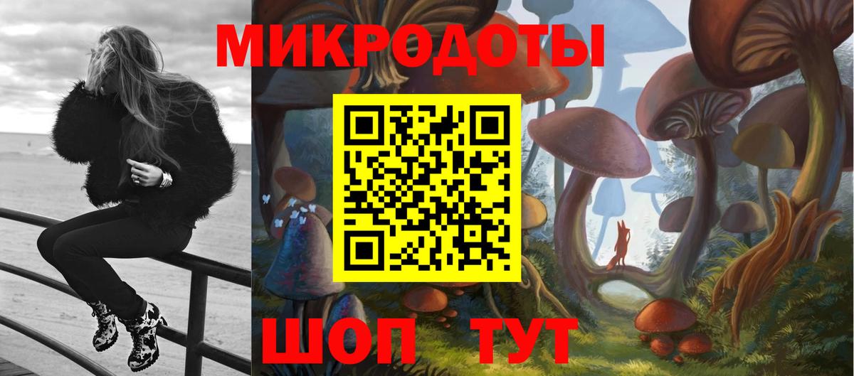 Владимир  Псилоцибиновые грибы Psilocybe  цены наркотик  Псилоцибиновые грибы прущие грибы  Вход с VPN 